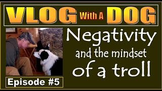 YOU TUBE NEGATIVITY and THE MINDSET OF A TROLL Cabin Life Philosophies [upl. by Phare]