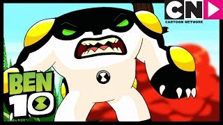 Destruye Los Clones  Max Al Máximo  Ben 10 en Español Latino  Cartoon Network [upl. by Kcirdnekel]