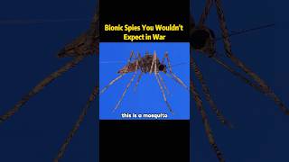 Bionic spies you wouldn’t expect in warpatriots conductor fake youtube foryou [upl. by Silado]