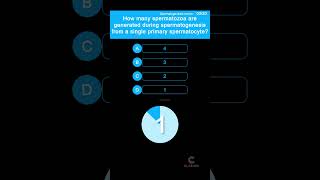 How many spermatozoa are generated during spermatogenesis from a single spermatogonium [upl. by Ahsenyl]