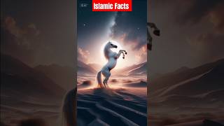 Buraq मेराज की रात shorts amazingfacts history interestingfacts randomfacts knowledge facts [upl. by Ellimaj]