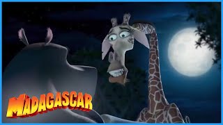 DreamWorks Madagascar  No Doctor for Melman  Madagascar Escape 2 Africa Movie Clip [upl. by Shari]