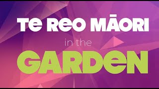 Learn Te reo Māori – In the Garden [upl. by Dduj450]