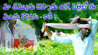 మా తమ్ముడు చెప్పాడు అనే పత్తిలో ఈ మందు కొట్టాను కానీ   cotton info pests spray agriculture [upl. by Nnairek42]