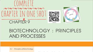 Biotechnology  Principles and Processes NCERT one shot for NEET [upl. by Anastas557]