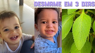 DESMAME EM 3 DIAS Será que vai rolar [upl. by Mead158]