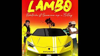 Rebo Tribe  Lambo ft Quamina MP x McRay [upl. by Gwenore556]