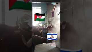 Palestine 🇵🇸🥰 vs isra 🇮🇱💩🤬 [upl. by Aniara608]