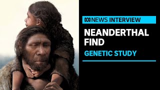 Neanderthal DNA reveals family relationships in cavedwelling clan  ABC News [upl. by Eal243]