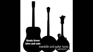 Shady Grove Intro and Solo Guitar tutorial [upl. by Eetnahs]