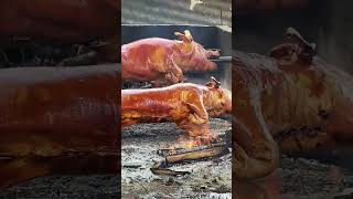 lechon baboy [upl. by Standford]