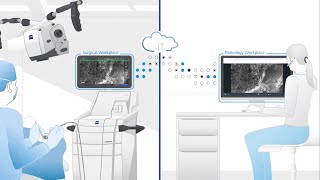 Explainer Video on digital image consultation using ZEISS CONVIVO In Vivo Pathology Suite [upl. by Abana501]