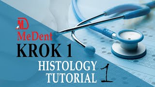 Krok 1 Base  Histology  Tutorial 1 [upl. by Sabir]