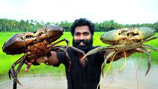 5 Kg BIG SIZE CRAB ROAST MAKING  COOKING SKILL M4 TECH [upl. by Asillam]