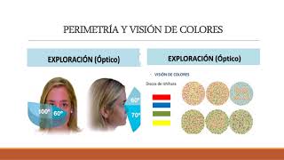 38 FISIOPATOLOGIA DE LOS PARES CRANEALES PARTE 1 [upl. by Musa]