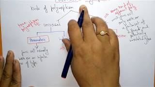 Parametric Polymorphism  OOPs in C  Lec34  Bhanu Priya [upl. by Ahsaela]