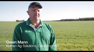 Hear what growers have to say about Luximax herbicide’s performance [upl. by Paucker]