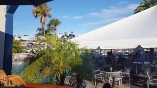 Ozona Blue RestaurantBar in Palm Harbor Florida [upl. by Alysoun]