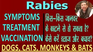 Symptoms Treatment and Prevention of Rabies  Dogs Cats Bats and Monkey bites Need Rabies Vaccine [upl. by Jamison]