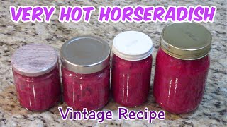 Homemade Horseradish Recipe With Beets  Very Hot Horseradish [upl. by Lorraine]