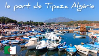 le port de Tipaza Algérie جولة في ميناء تيبازة [upl. by Bedwell]