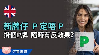 新牌仔掛P有無用？可否一直唔拆？有P牌反而招惹無品司機bully？ 英國學車 英國揸車 [upl. by Bergess614]