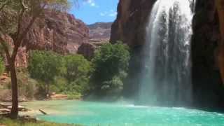 Havasu Falls Adventure [upl. by Gschu414]