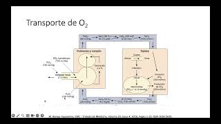 Clase Mecanismos de Hipoxemia [upl. by Palocz]