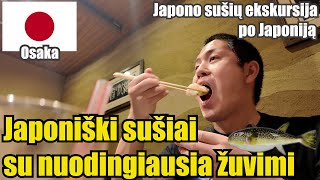 Sušiai su nuodinga žuvimifugu kuri nužudo daug žmonių Japono susių ekskursija po Japoniją 2 [upl. by Oruam]