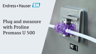 Plug and measure with Proline Promass U 500  EndressHauser [upl. by Giguere764]