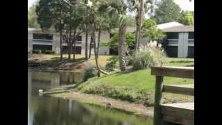 Sonoma Southside Apartments Jacksonville FL [upl. by Torr234]