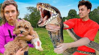 Snake ATTACKED my DOG will he be OKAY… [upl. by Yellek376]