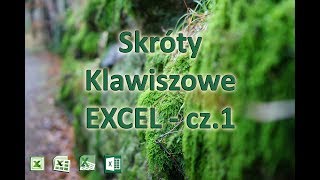 14 Skróty klawiszowe Excel czesc 1 [upl. by Gristede161]