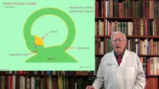 Lecture 3 The Vestibular System Structure Function and Dysfunction [upl. by Atekin365]