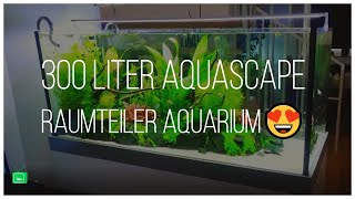 300 Liter Aquascape Raumteiler Aquarien Bewerten  GarnelenTv [upl. by Vano]