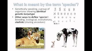 Species and Speciation IB Biology [upl. by Ramled]