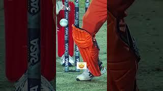 Kaif Goes Downtown 👊 Legends League Cricket 2024 [upl. by Portugal]