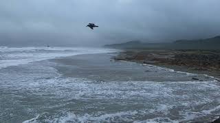 wind and Pacific Ocean waves [upl. by Karoly]