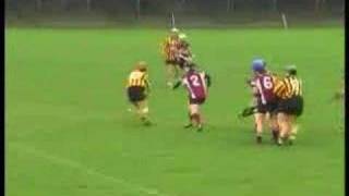 2007 AllIreland Club Camogie SemiFinal [upl. by Aicek]