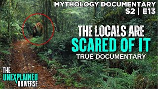 The Cryptic Horror Gnome In Belize  Tata Duende  Mythology Documentary  Boogeymen  S2E13 [upl. by Oinotna]