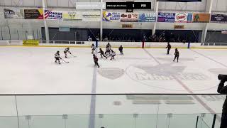 LHA 14U AA Vs Pittsburgh Artic Foxes 20241011 [upl. by Jillie172]