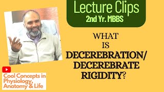 What is DECEREBRATION decerebrate rigidity Neuroanatomy Upper Motor Neuron Lesion 2nd Year MBBS [upl. by Amilah]