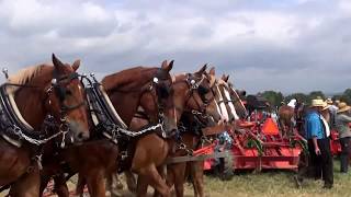 Horse Progress Days 2017 Horse Powered Machinery and Mule Drawn Wagon [upl. by Orian896]