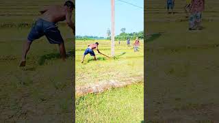 অল্পের জন্ন্যে রক্ষা ভাই।viralvideo comedyvideos comedy funnyshorts excavator tranding [upl. by Lothario99]