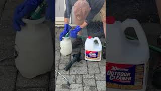 How To Clean Concrete Pavers  Remove Moss and Algae from Patio shorts [upl. by Icrad]