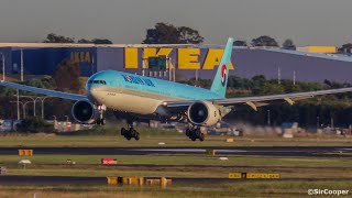 38 GORGEOUS Early Morning TAKEOFFS and LANDINGS at Sydney Airport  Plane Spotting at Sydney [upl. by Yelrac]