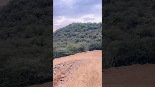 Danger OffRoad 🥳 travel music dkaybishnoi nature rajasthan aravali aravalihills remix [upl. by Zetrauq]