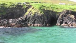 Blasket Island Boat Tours  Slea Head  Dingle [upl. by Solange608]