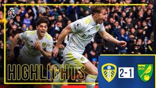 Highlights Leeds United 21 Norwich City  GELHARDT SCORES INJURYTIME WINNER Premier League [upl. by Wilkie]