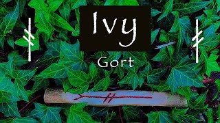 Ivy  Myth Symbolism and Folklore of the Ivy Gort [upl. by Akinnej]